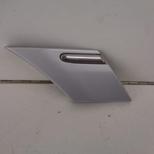 C-KLASSE W203 SIERLIJST RA ELEGANCE ZILVER A2036905462 9744